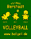 Volleyballer beim TV06