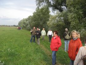 IMG_0963.JPG