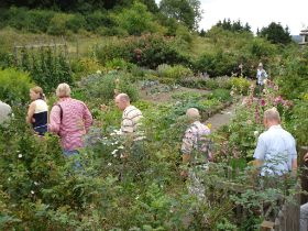Klassischer Bauerngarten